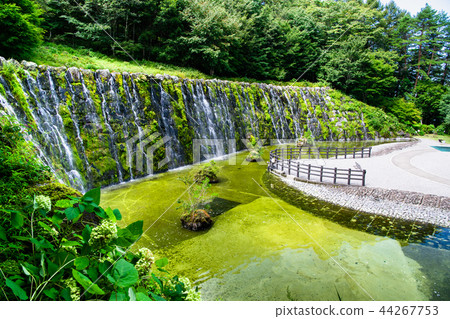 Yamanashi Yamanakako Flower City Park Park Myojin Falls 44267753