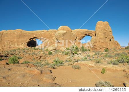 Windows section (US) 44269235