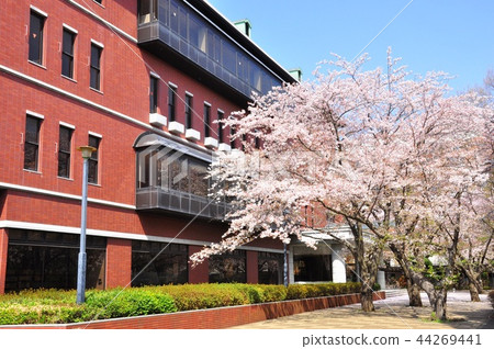 藤澤市日本大學生物資源科學學院圖書館、櫻花樹和藍天 44269441