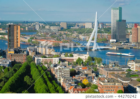 View of Rotterdam city and the Erasmus bridge 44270242