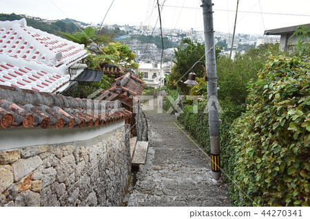 Overlooking Kinjocho Cobbled Road 44270341