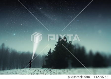 winter night in the park. winter night in the park. 44270738