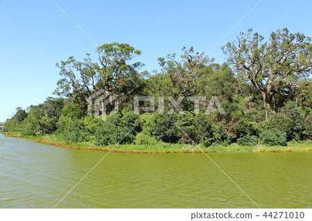 Burial Mound Tomb Group, Otakiyama Tomb (Osaka Prefecture Sakai City) Burial Mound Tomb Group, Otakiyama Tomb (Osaka Prefecture Sakai City) 44271010