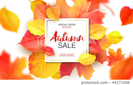 Banner For Autumn Sale In Frame From Leaves Stock