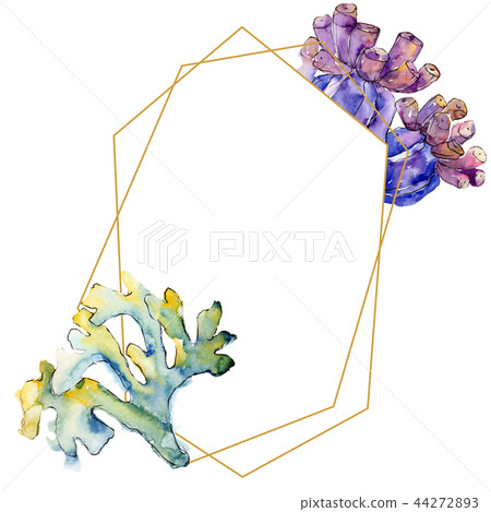 Colorful aquatic underwater nature coral reef. Frame border ornament square. Colorful aquatic underwater nature coral reef. Frame border ornament square. 44272893