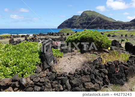 Makapuu Heiuu 44273243