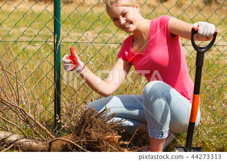 Woman digging hole in garden Woman digging hole in garden 44273313