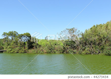 老式墓群，Irisuke老墓（大阪府Sak市） 44273434