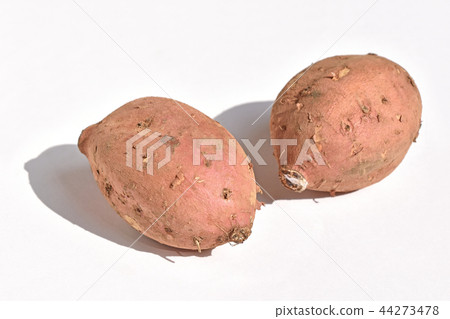 Annouimo（Ano紅薯） 44273478