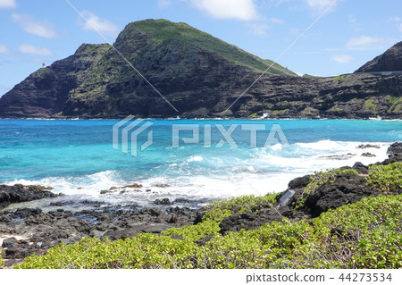 Cape Makapuu 44273534