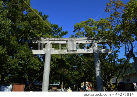 Matsui Shrine Torii 44275814