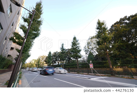 Tokyo cityscape in Japan I want to see the cityscape, such as Mejiro-dori in front of Mejiro Station 44276130