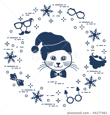 Muzzle of cat in Christmas hat and carnival masks, 44277461