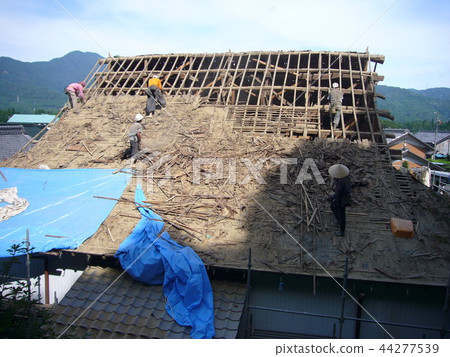 The main hall roof repainting The old tile is lowered and the frame is exposed 44277539