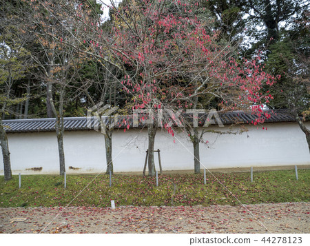 Daigoji in autumn 44278123