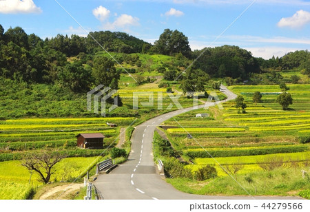 Rural scenery, Inabuchi area, Asuka village, Nara prefecture 44279566