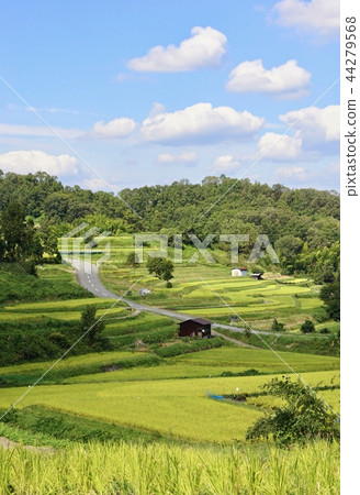 Rural scenery, Inabuchi area, Asuka village, Nara prefecture 44279568