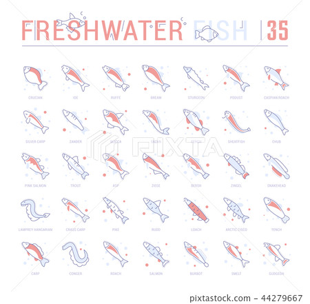 Set Blue Line Icons of Freshwater Fish Set Blue Line Icons of Freshwater Fish 44279667