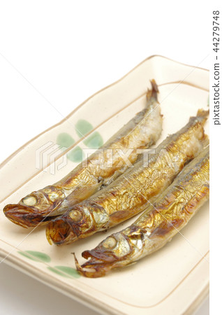 烤飯 烤飯 44279748