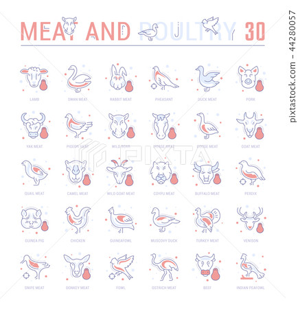 Set Blue Line Icons of Meat and Poultry. Set Blue Line Icons of Meat and Poultry. 44280057