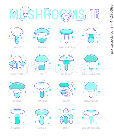 Set Blue Line Icons of Mushrooms Set Blue Line Icons of Mushrooms 44280060