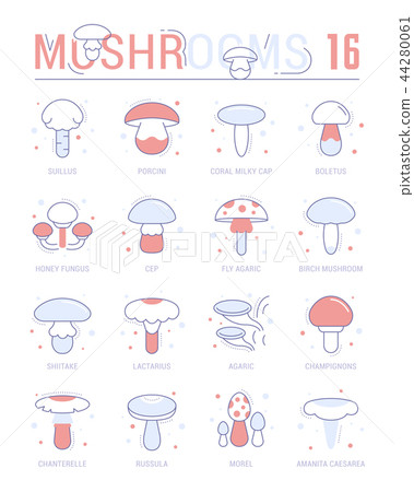 Set Blue Line Icons of Mushrooms. Set Blue Line Icons of Mushrooms. 44280061