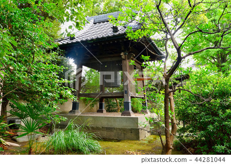 Honkoji Temple(品川) Honkoji Temple(品川) 44281044