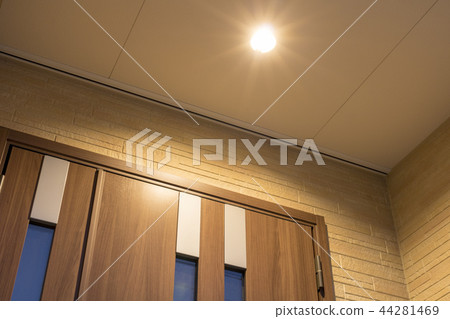 Entrance door and lighting Entrance door and lighting 44281469