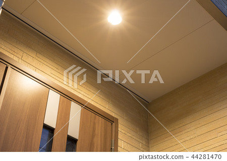 Entrance door and lighting 44281470