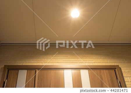 Entrance door and lighting 44281471