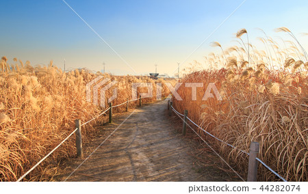 Winter scenery of sky park 44282074