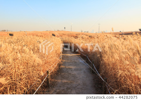 Winter scenery of sky park Winter scenery of sky park 44282075