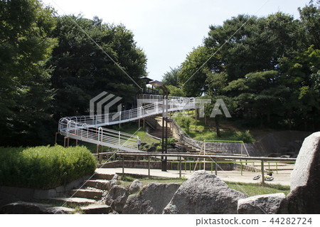 At Shimizuzaka Park 44282724