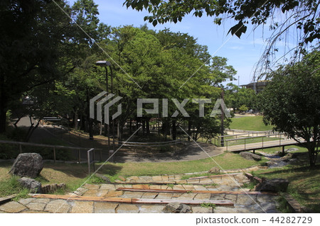夏日清水坂公園(東京北區) 夏日清水坂公園(東京北區) 44282729