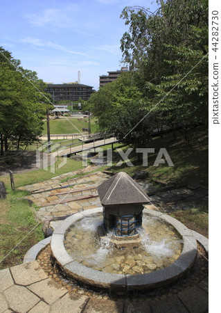 夏日清水坂公園(東京北區) 夏日清水坂公園(東京北區) 44282730