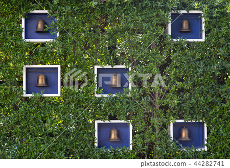 Plant wall background Plant wall background 44282741