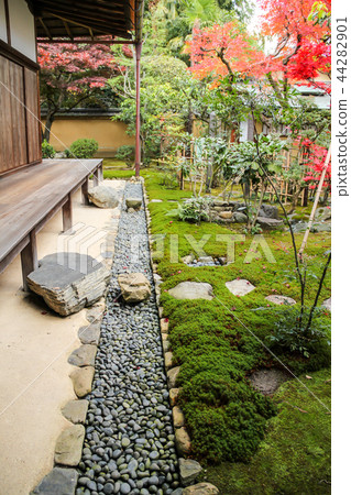 Daitokuji Korinin秋葉，秋葉在庭院裡 44282901