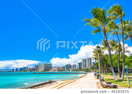 “夏威夷”威基基海灘檀香山 44283874