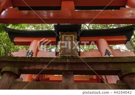 Fall Fushimi Inari Inariyama Senbon Torii, Kyoto, Japan Fall Fushimi Inari Inariyama Senbon Torii, Kyoto, Japan 44284042
