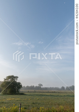Pasture and trees in morning misty fog with blue sky and cirrus  44284100