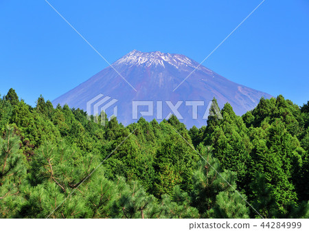 檜木森林和富士山3350 44284999