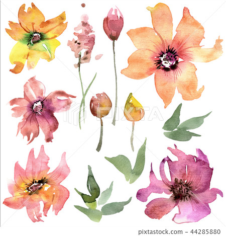 watercolor hand painted pink flowers - Stock Illustration [44285880 ...