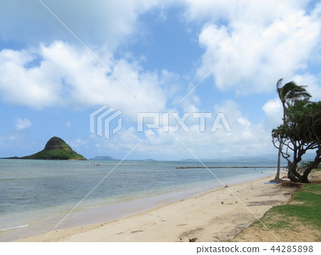 夏威夷夏威夷風景@瓦胡島瓜拉阿海灘 44285898