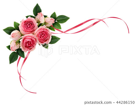 Pink rose flowers and satin ribbons in arrangement Pink rose flowers and satin ribbons in arrangement 44286150