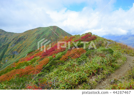 山脊線和秋葉到Ichinokuradake 44287467
