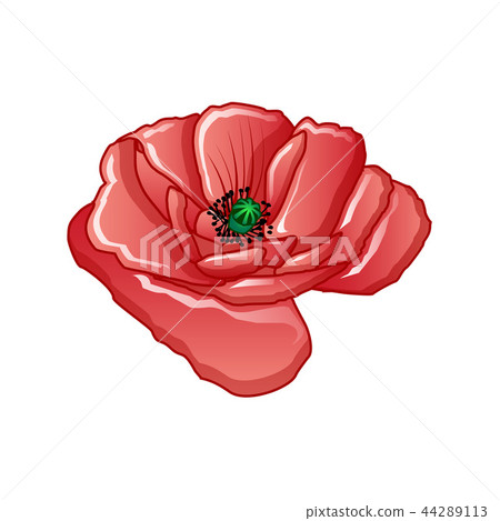 Poppy flower icon, cartoon style 44289113