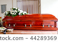 funeral casket in a hearse or chapel 44289369