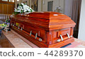 funeral casket in a hearse or chapel 44289370
