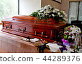funeral casket in a hearse or chapel 44289376