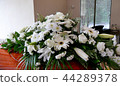 funeral casket in a hearse or chapel 44289378